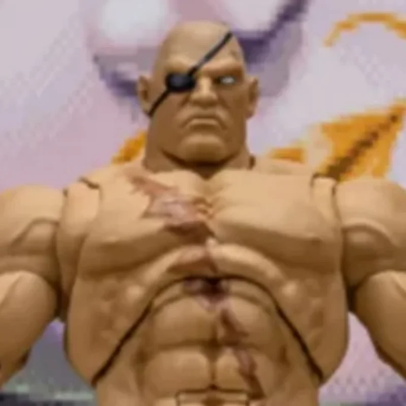 

【100% оригинал】Storm SAGAT Street Fighter Alpha 3 "STORM ARENA" Коллекция масштаб 1/12, серия, модель персонажа из мультфильма