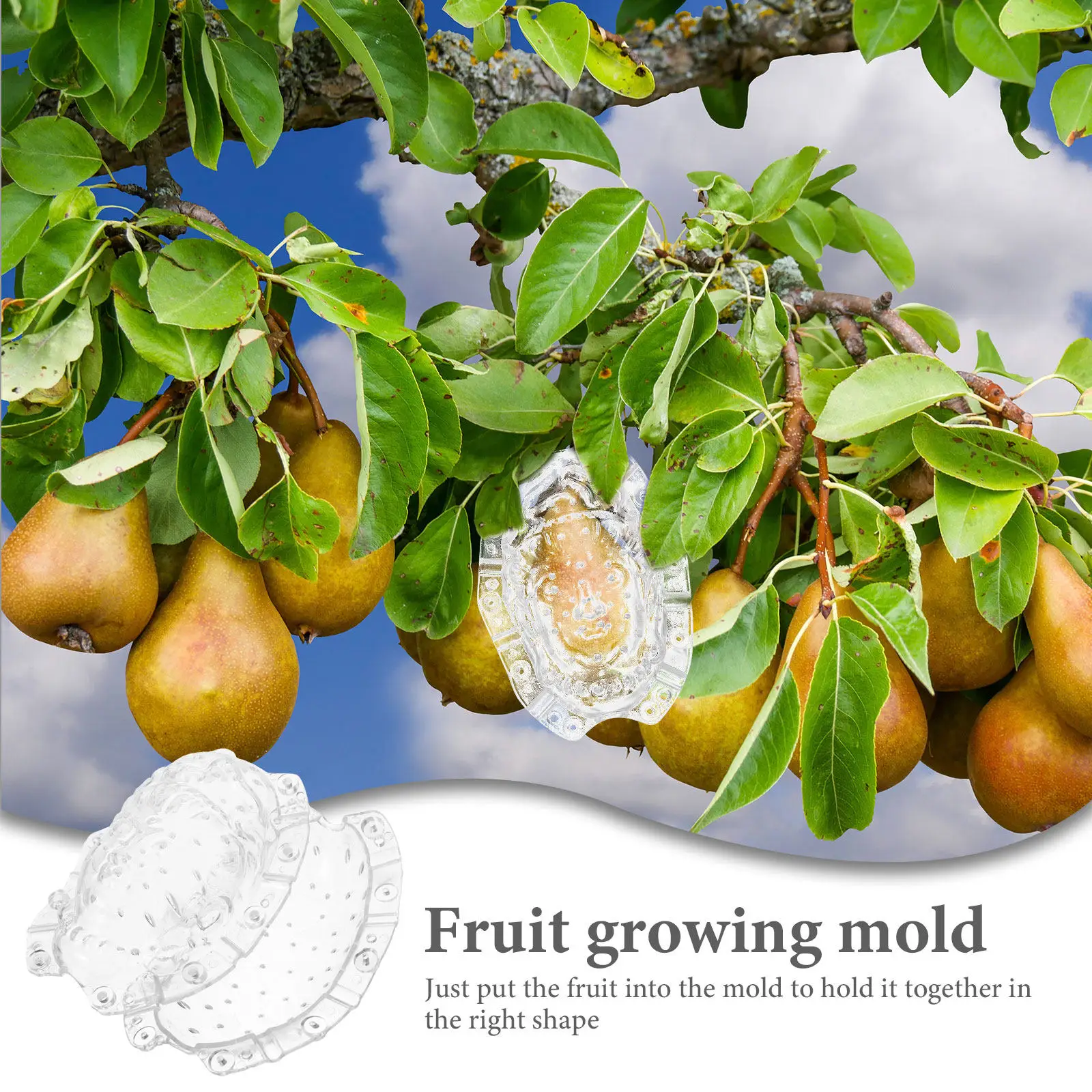Acrylic Transparent Fruit Shaping Mold Ginseng Melon Vegetable Gardening Tool Outdoor Yard Backyard Growth Reusable DIY Fruits