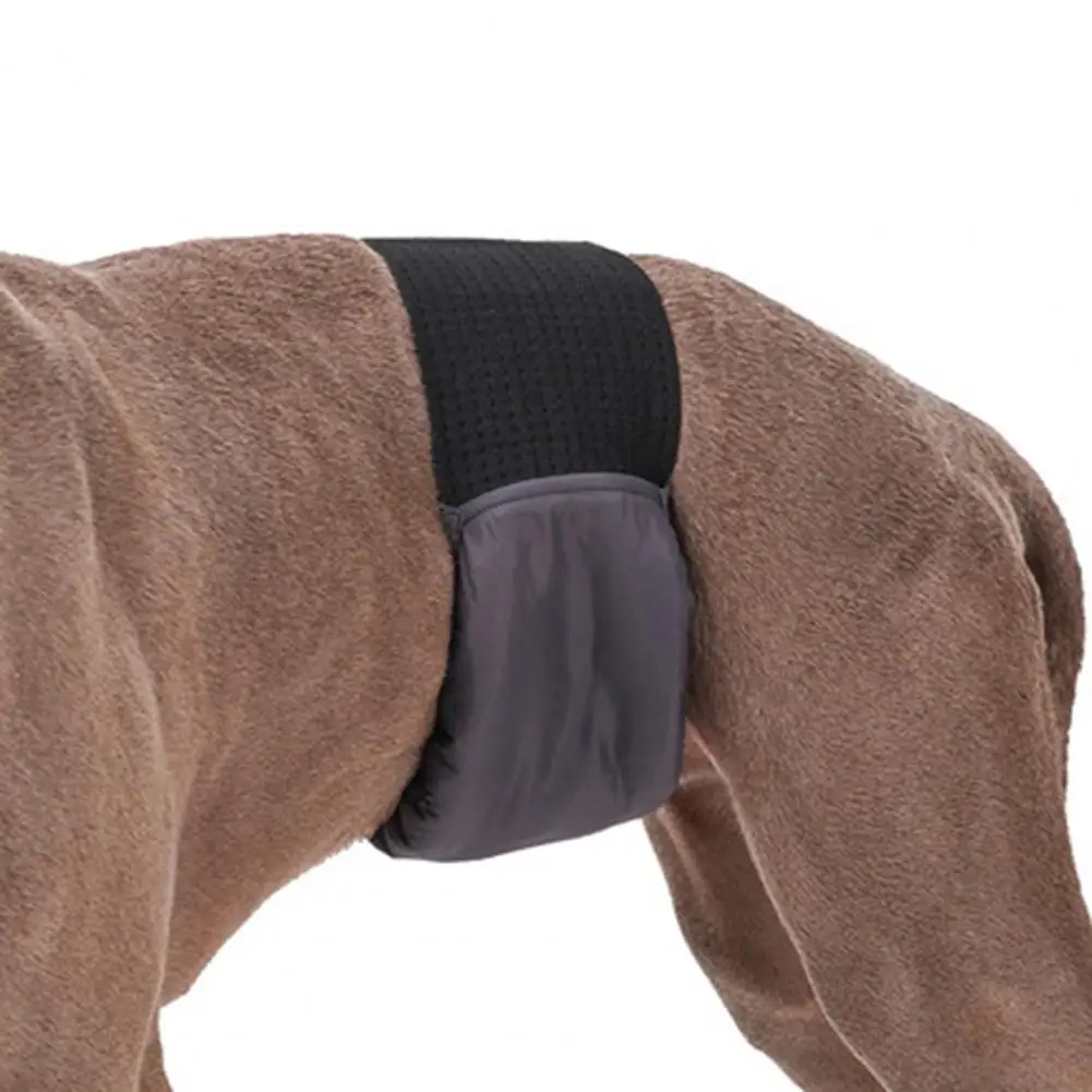 

Pet Menstrual Pants Wear-resistant Pet Physiological Pantie No Leak Premium Washable Dog Diaper Reduce Embarrassment