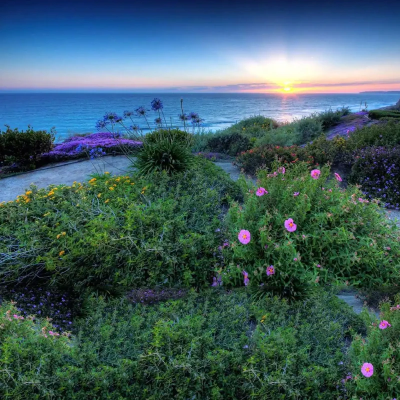 Wireless Restaurant Pager 16 Pagers 1 Keyboard Transmitter Queue Paging Calling System for Hotel Cafe Food Truck Dessert Shop