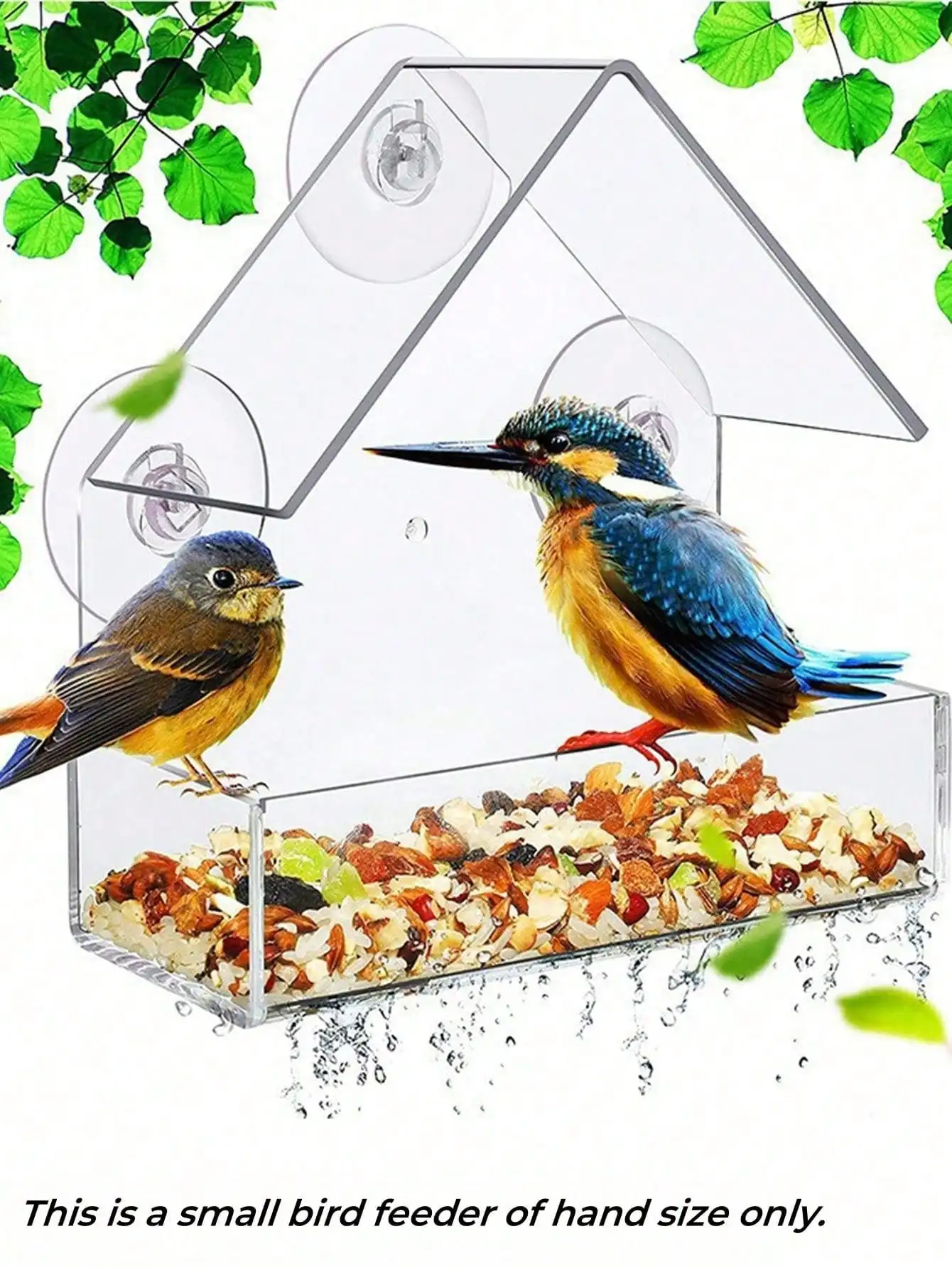 #46 Compare Birdhouses Before You Buy