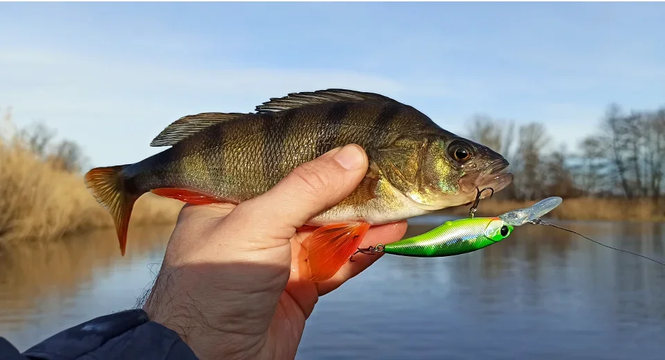 TSURINOYA Max 3,7 m 60 SP 5,7 g Aussetzung Minnow Angelköder Explorers SHAD Weitwurf Harter Köder für Hechtbarsch Chub Jerkbait – Detail 24