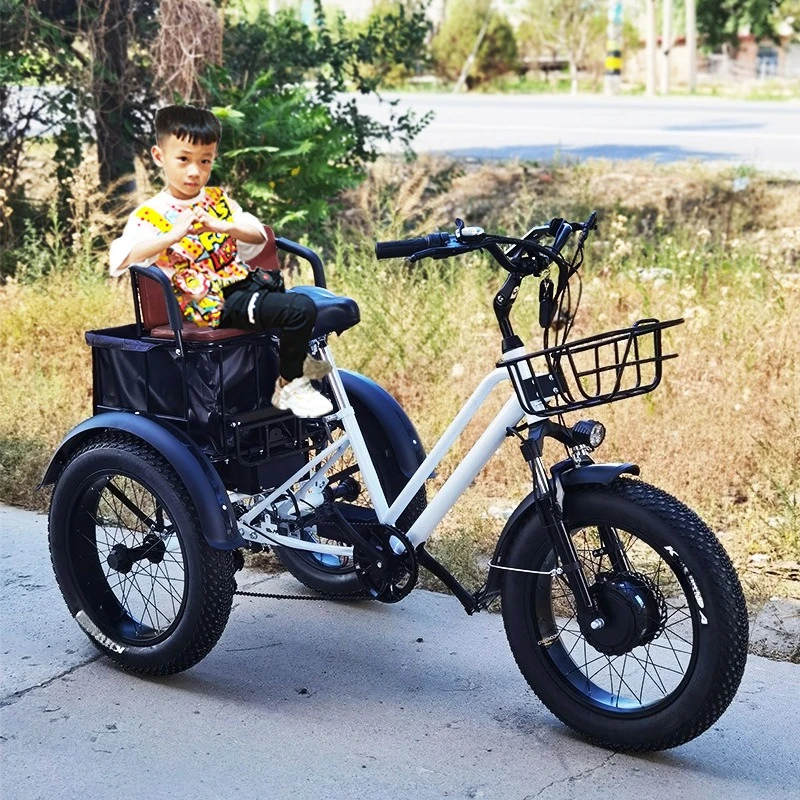 

20 inch 48V750W500W fat tire pedal power electric tricycle rough tire snow lithium battery tricycle