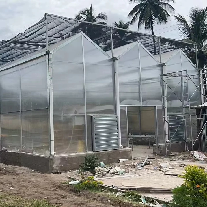 

Customized greenhouseCommercial Agricultural Polycarbonate Greenhouse with Cooling System for Vegetables Growing