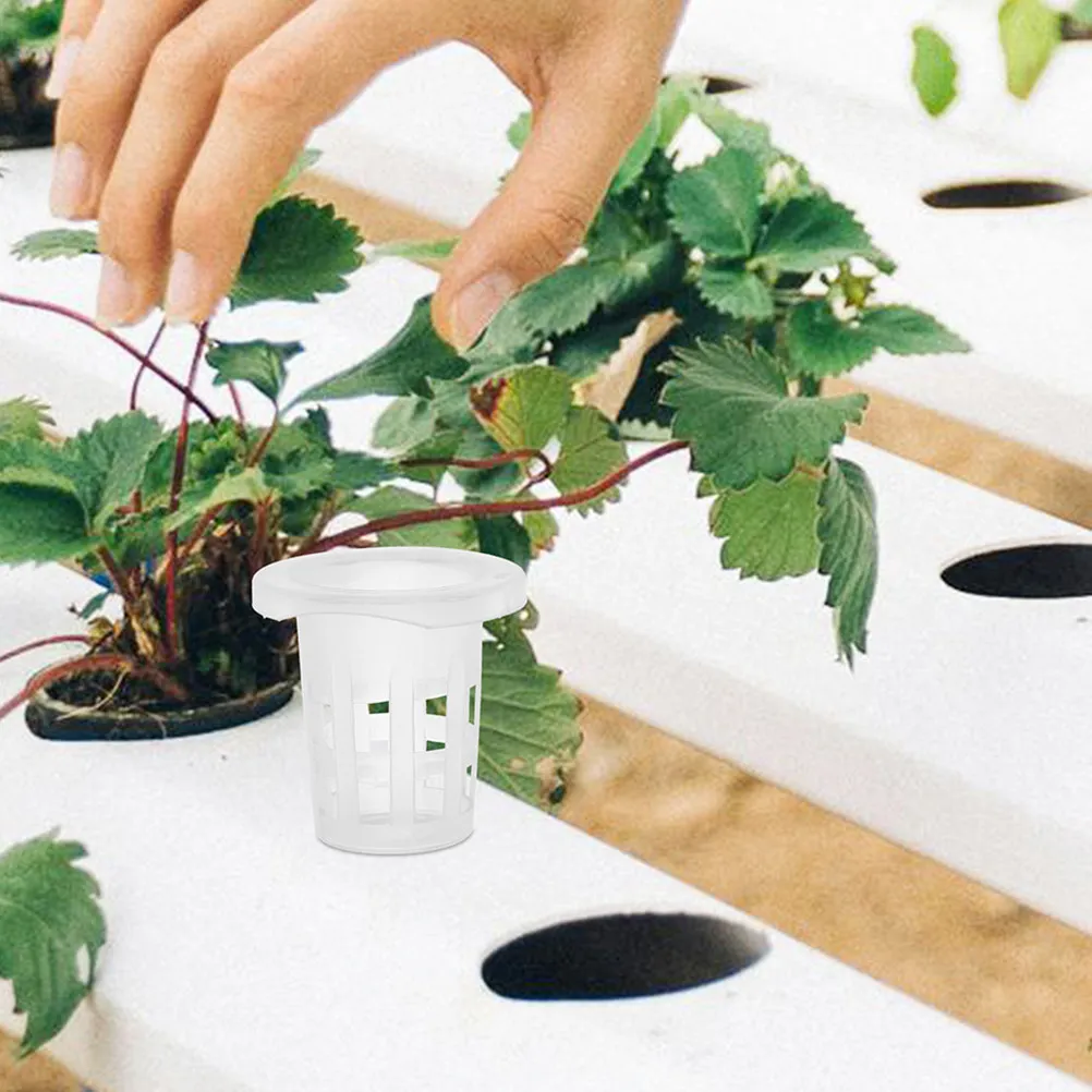 50Pcs Hydroponic Planting Cups Soilless Cultivation Net Pots for Balcony Gardening Indoor Growing Root Monitoring Basket Pots