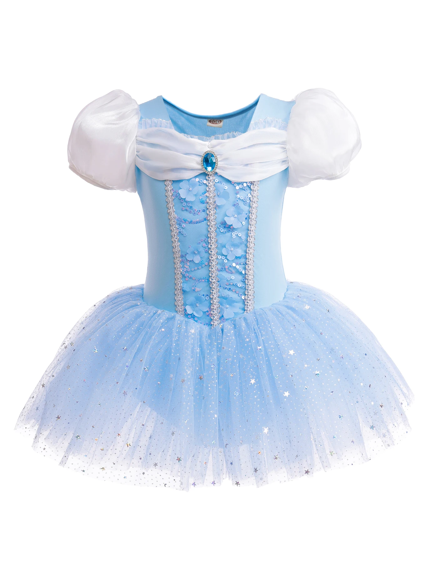 Princess Ballet Tutu Dress for Toddler Little Girls Ballerina Dance Costume Outfit Dancewear with Tulle Skirt Elsa Girl Dress