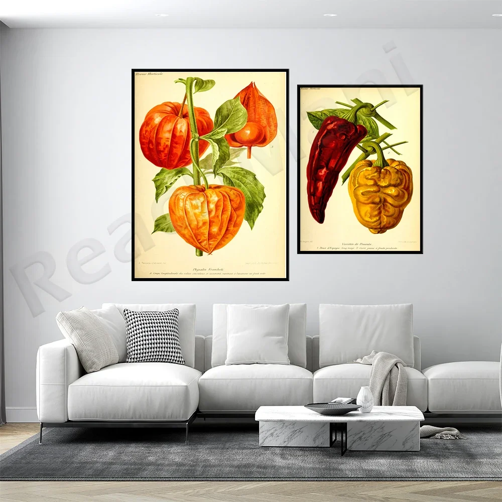 Kitchen retro prints fruits and vegetables retro poster pepper and physalis plant prints plant wall poster