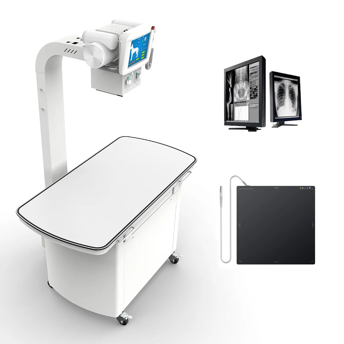 Animal X Ray Machine Portable X-Ray Machine Veterinary Portable X Ray Machine