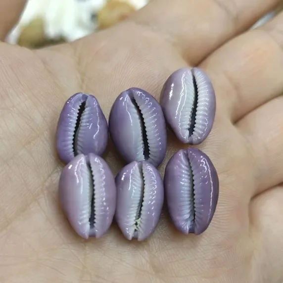 Natural Purple Heart Cowry Shell Conch Shell Home Decoration Accessories Aquarium Decoration Shell Decoration Crafts