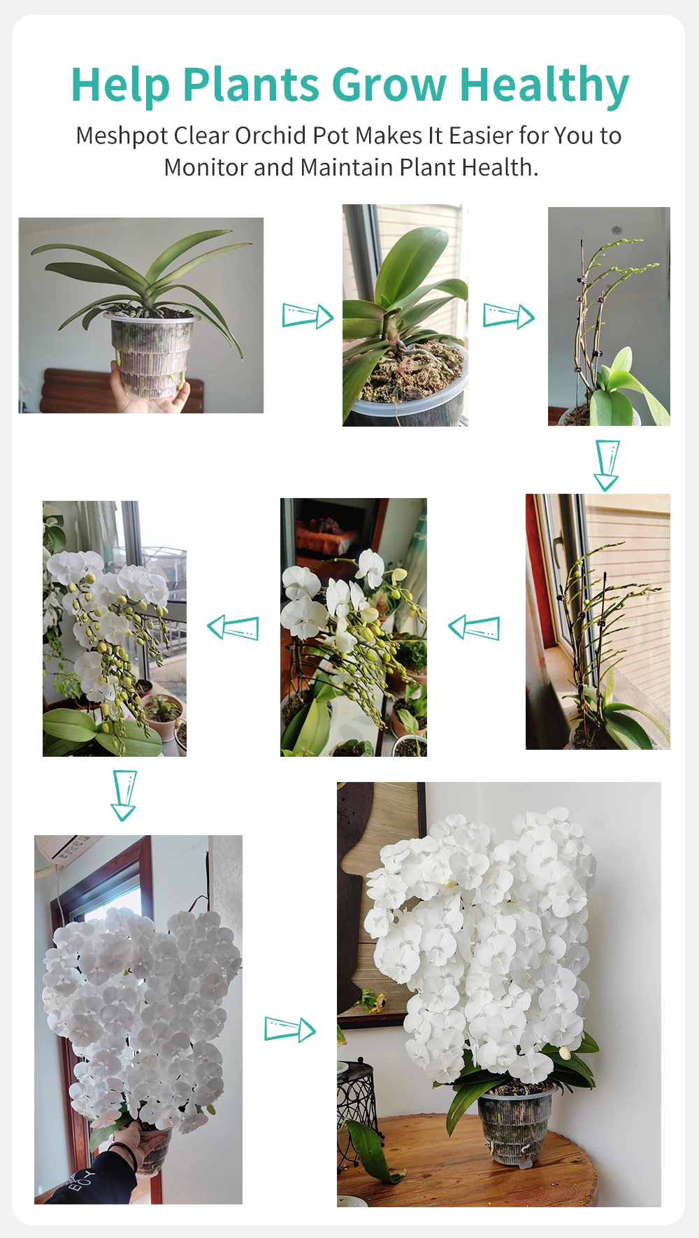 Meshpot 10 cm/12 cm/15 cm durchsichtige Orchideentöpfe aus Kunststoff mit Löchern, Luftschnittfunktion und Wurzelwachstumsfächern, Kunststoff-Blumentopf – Detail 9