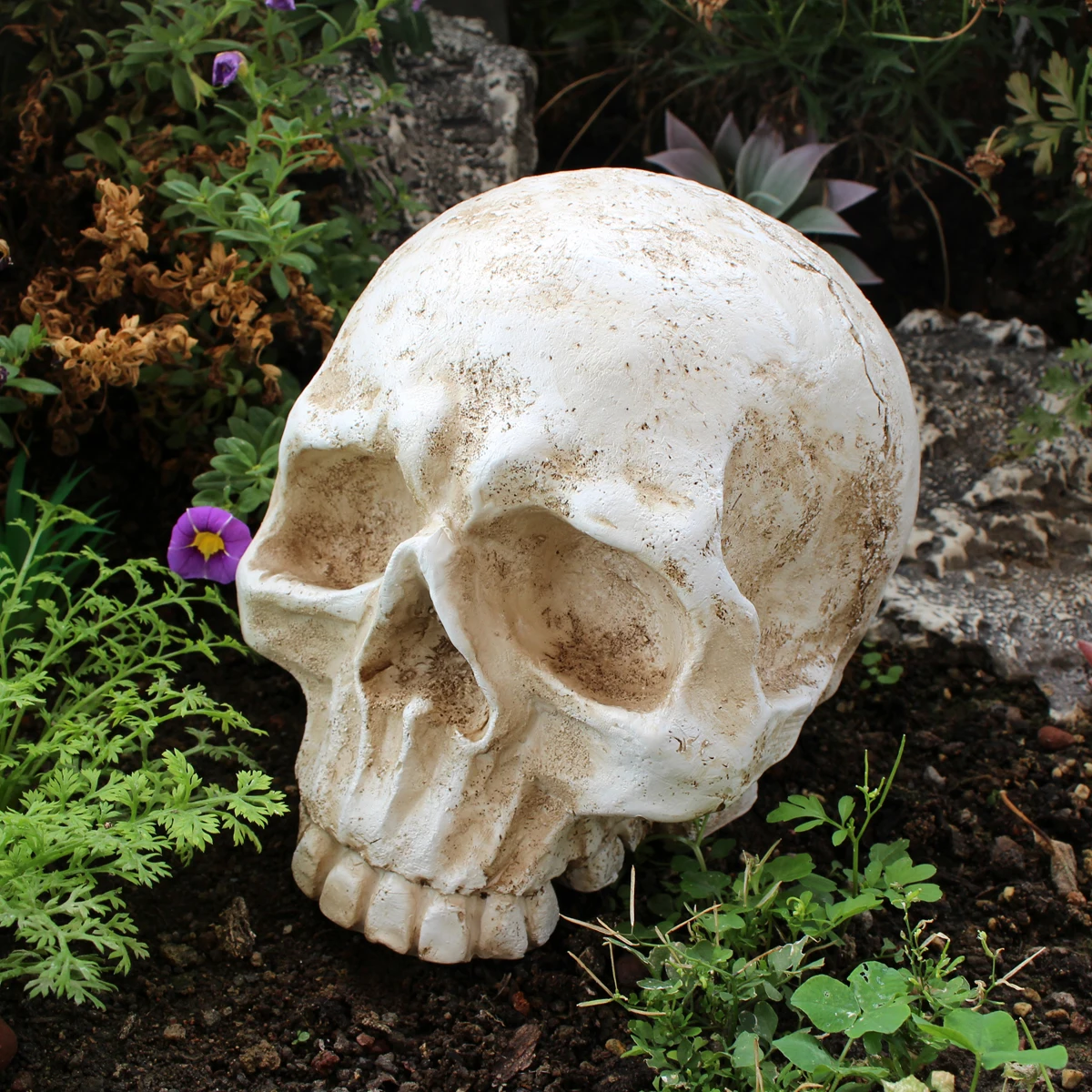 Human Skull Resin Art Teaching Model, Halloween Skull, Day of the Dead Skull Decoration, Realistic Skull Ornament, Outdoor Courtyard Lawn Bonsai