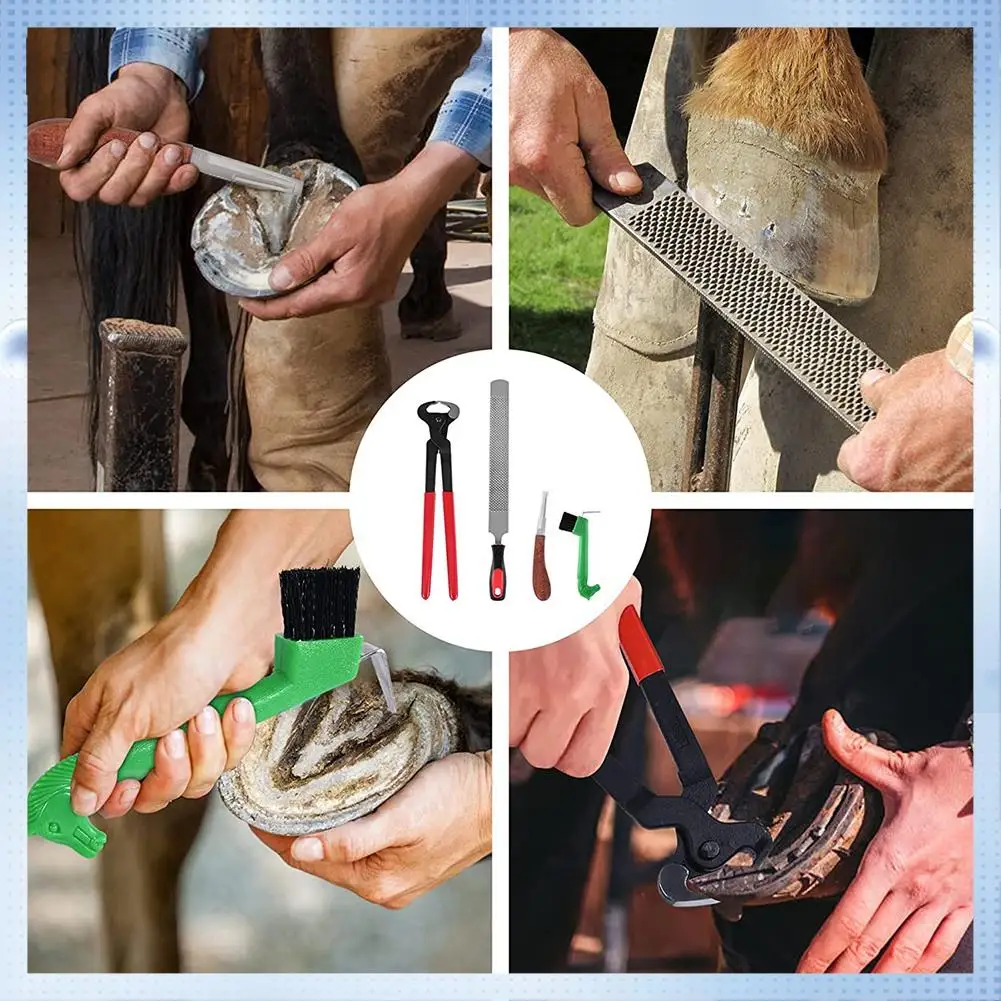 

AD-5 Pcs Professional Farrier Tool Kits With 14Inch Hoof Nipper,Hoof Care Tools For Horses, Cattle, Sheep And Donkeys