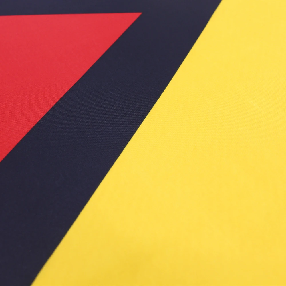 FLAGap Guyana flag, rich in colors, of high quality, with vivid colors with 2 buckles