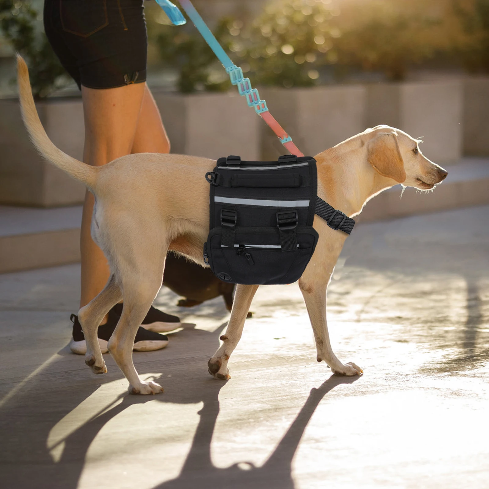 

Dog Backpack Pet Self-Wearing Bag Water Bottle Food Storage Durable Premium Material Outdoor Hiking Walking Camping Supply Mini