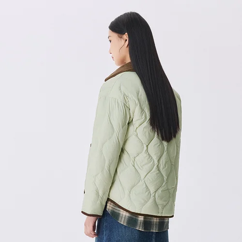 أسفل المعاطف