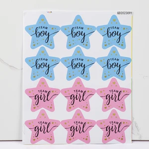 Gilding -Team -Versiegelungsaufkleber, Geschenkkashabel für Sex -Enthüllung Babyparty -Party bevorzugt Dekoration, Boy Team Girl, 5 Blätter, 60 Prozent 8 Hauptverkaufskleid -Offenbarung Tee - №1