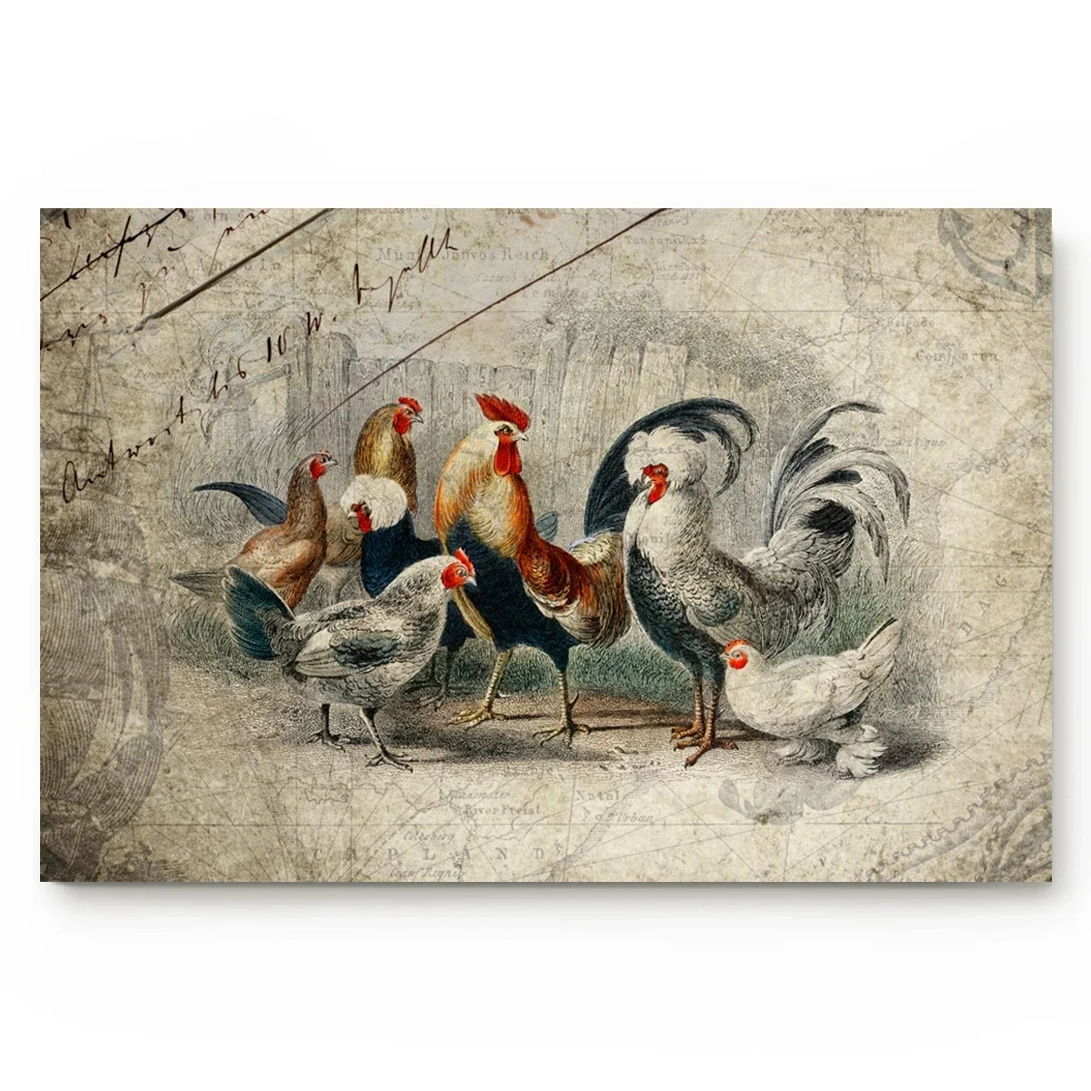 Farm Rooster Chicken Retro Illustration Kitchen Mat Bedroom Entrance Doormat Home Floor Decor Carpet Bathroom Anti-Slip Rug