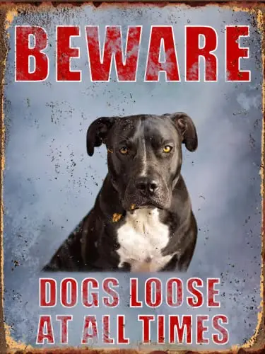 Stafford Bull Terrier Metal Sign Vintage Beware Dogs Loose at All Times Bar Club Home Living Room Bathroom Dog Lover Gift Wall D