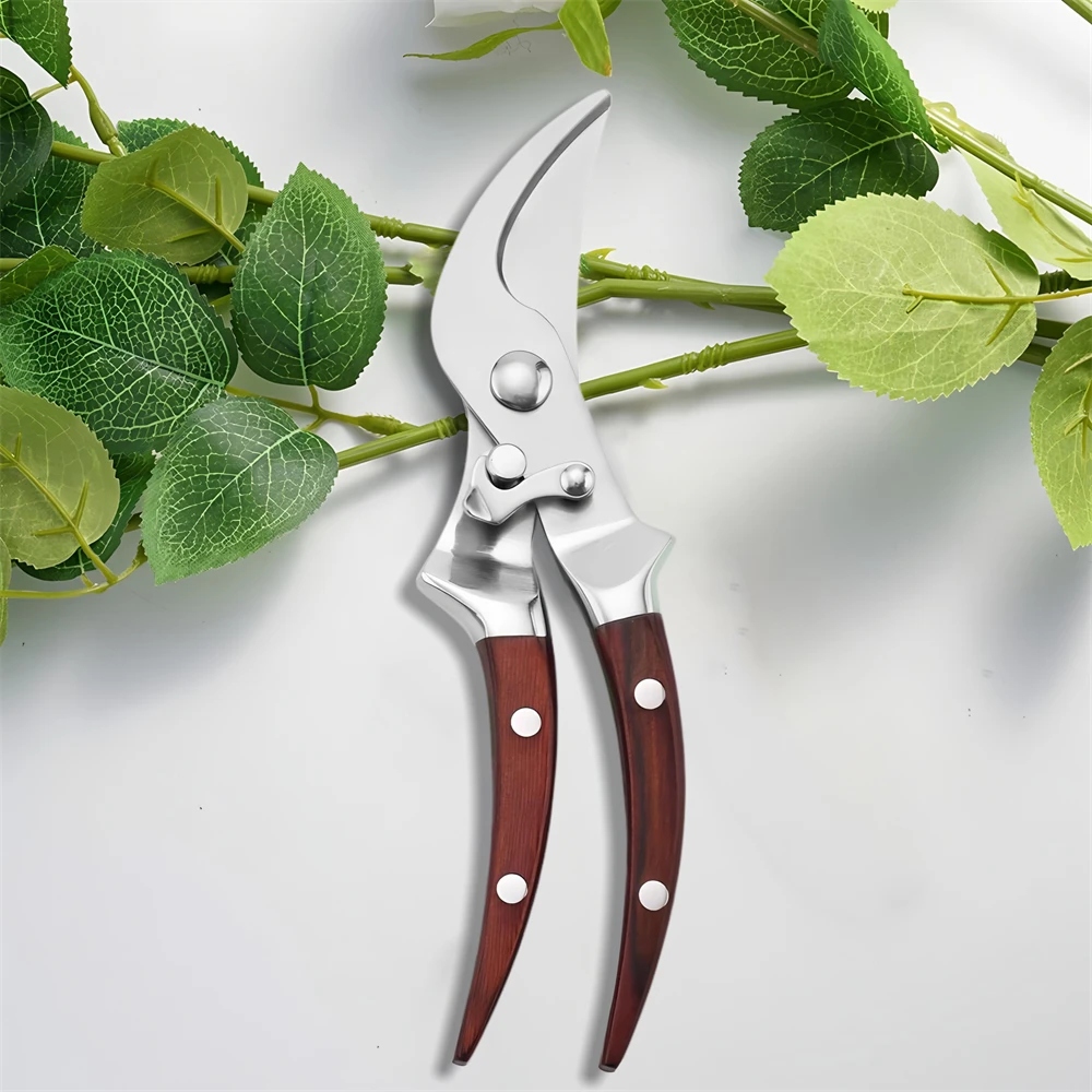 

Professional Pruning Scissors Stainless Steel Bonsai Tools Multi-purpose Scissors Household Scissors Outdoor Tools Grafting Tool