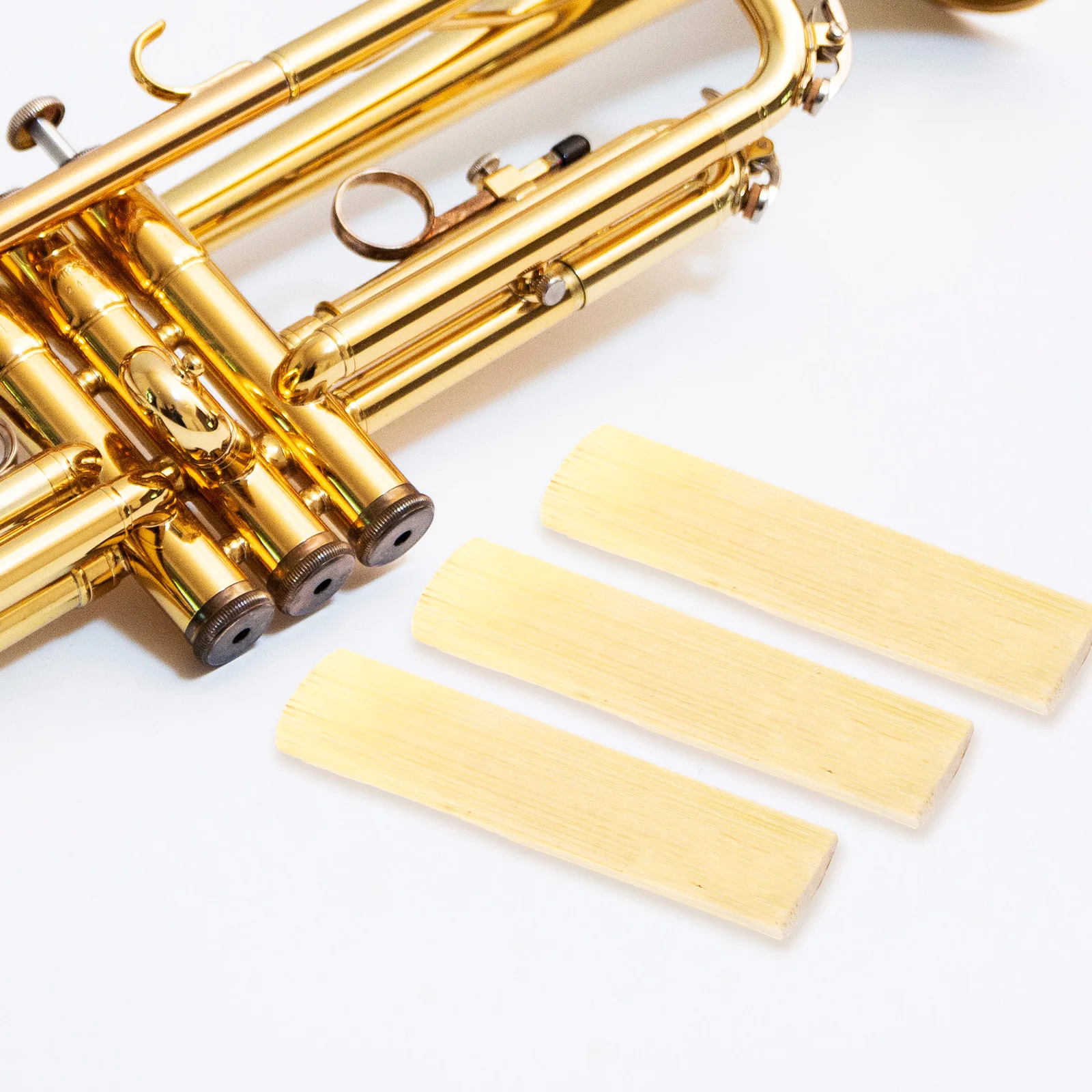 

10 Pcs Ten Reeds Instrument Accessories Soprano Saxophone Tenor Clarinet Pads Alto