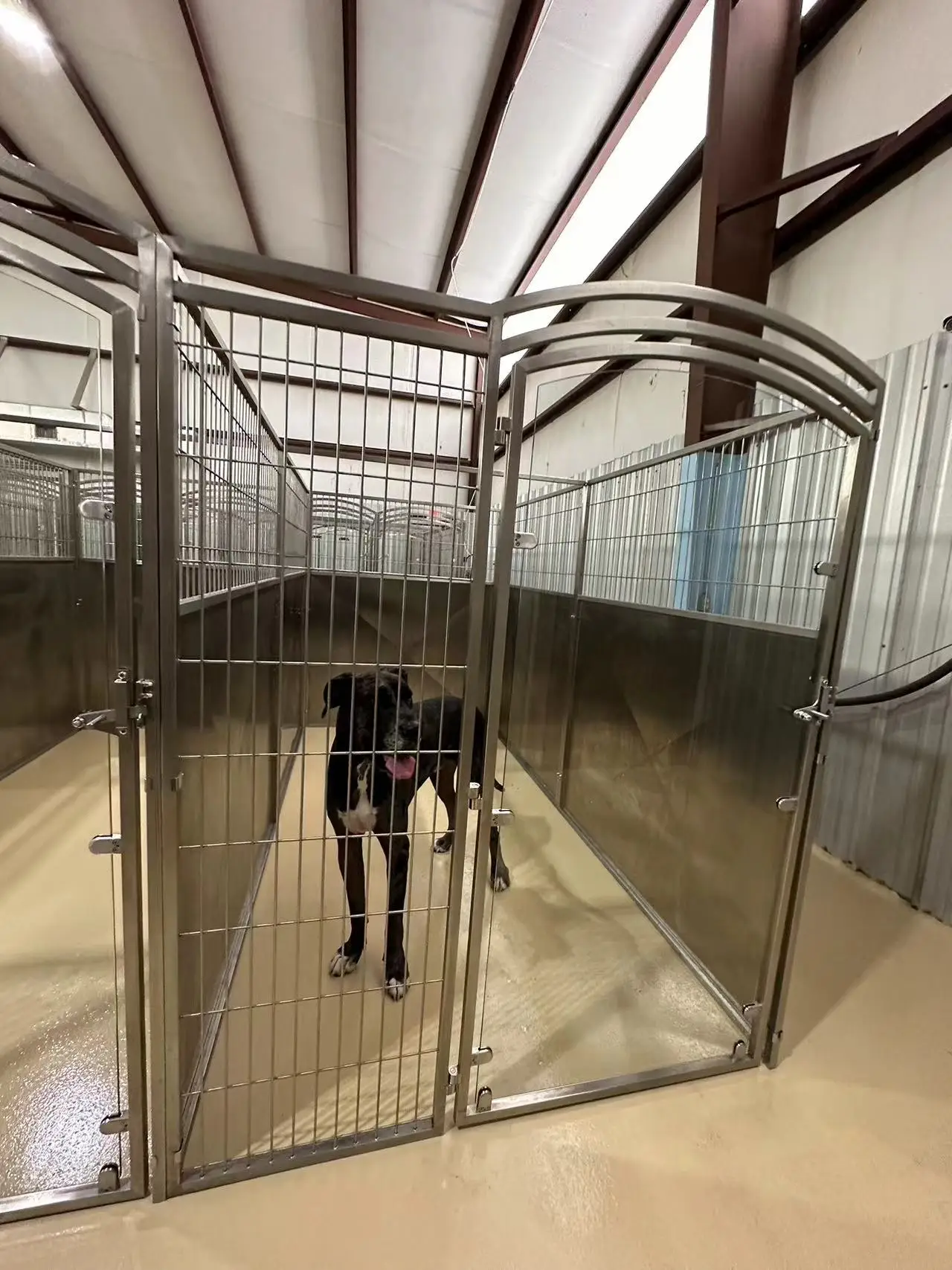Pet Grooming / Clinic Customized Dog Kennel Runs Outdoor Indoor Stainless Steel Dog Boarding Kennels
