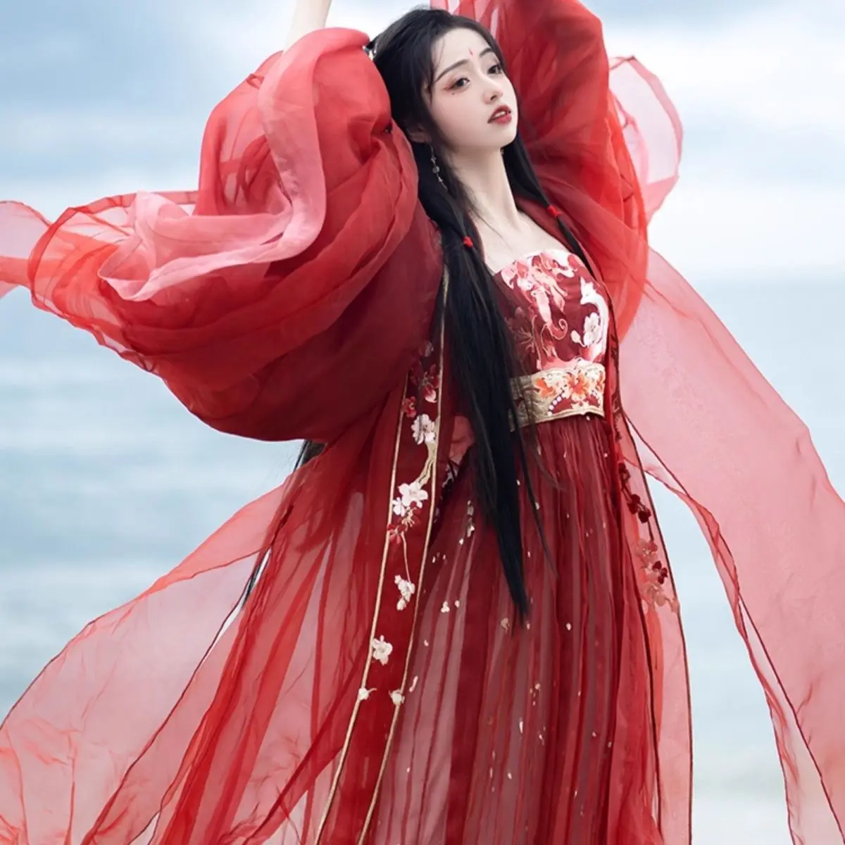 Elegant Fairy Hanfu Women Floral Embroidery Sheer Chiffon Wide Sleeve Overshirt Ancient Chinese Cosplay Long Flowy Maxi Dress view 5