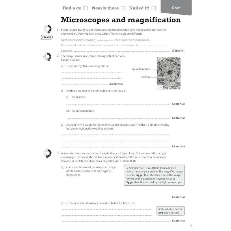 بيرسون مراجعة Edexcel GCSE مصنف مراجعة مؤسسة الأحياء لعام 2025 و2026 التقييمات واللامتحانات 9781292131757