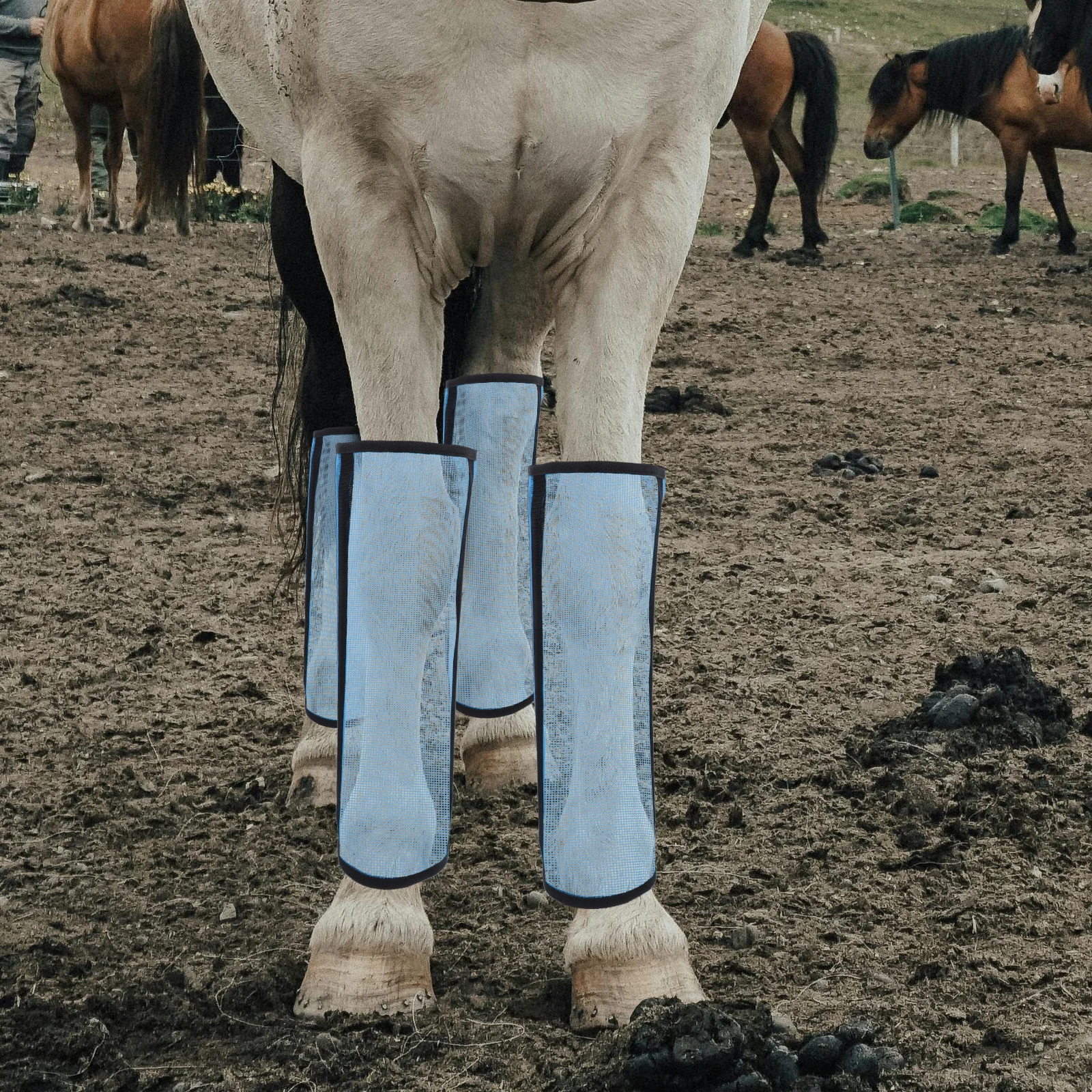 4 قطع من أحذية ذبابة الحصان قابلة للتنفس لحماية الساق الشبكية ومنع لدغة الذبابة وواقي كشك متين يستخدم الحصان