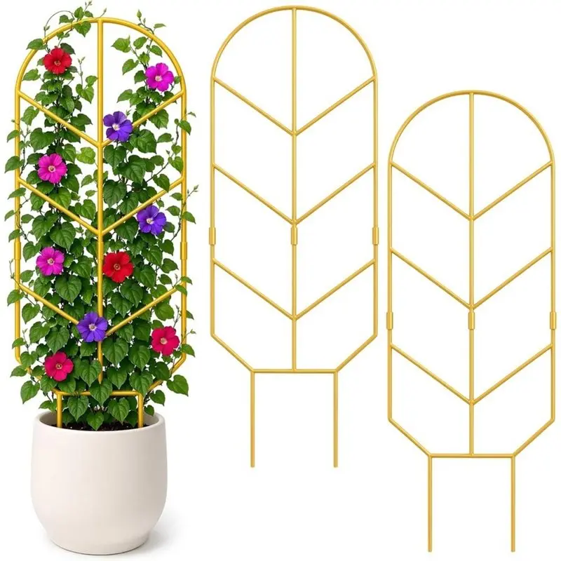 ABYN-For Crawling Plants Support 2 Pack Large Climbing Plant Trellis, 30