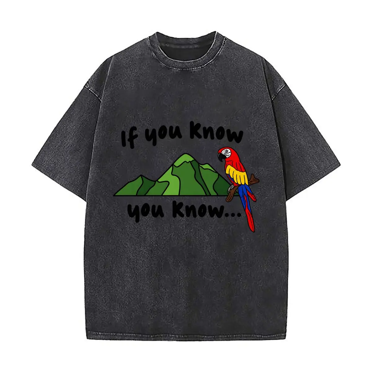 If You Know You Know Mountain Parrot Illustration Vintage Distressed Loose Streetwear Tops for Campus Days