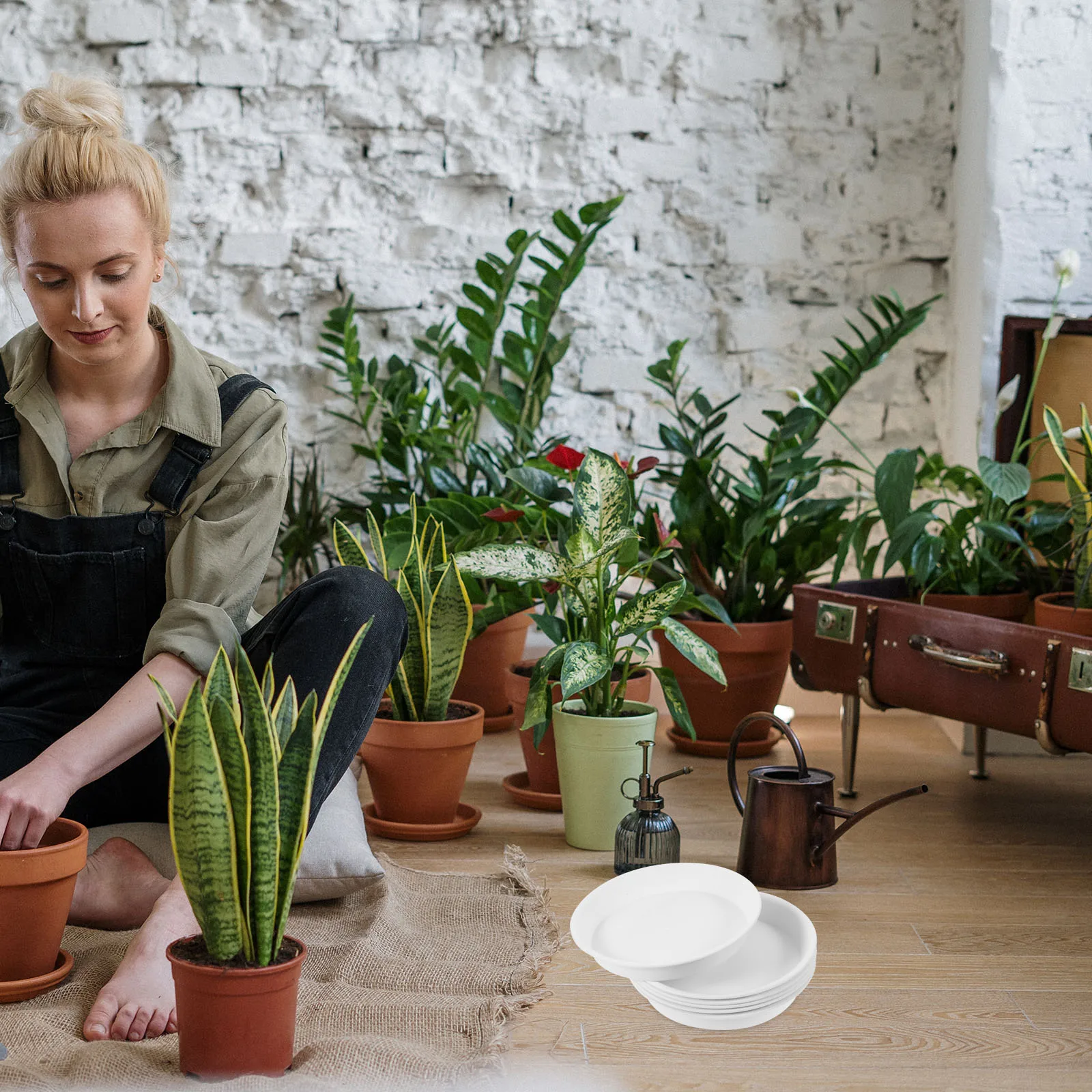 

6 Pcs White Plastic Plant Saucers 200mm 16x13 3cm Drip Trays for Indoor Plants Flower Pot Non Slip PP Material Garden Supplies