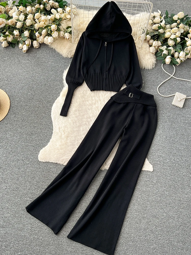 TWOTWINSTYLE Solid Casual Two Piece Set For Women Hooded Long Sleeve Coats High Waist Straight Loose Pant Chic Set Female Autumn