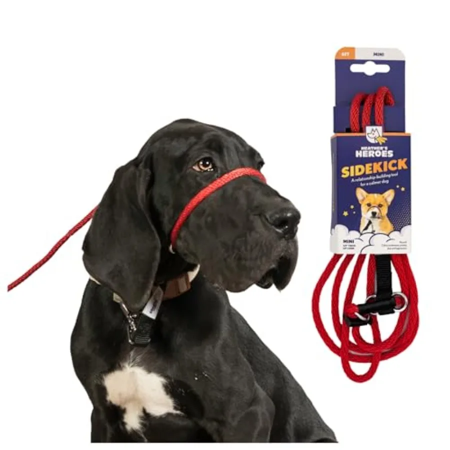 

The Sidekick No-Pull Leash Mini