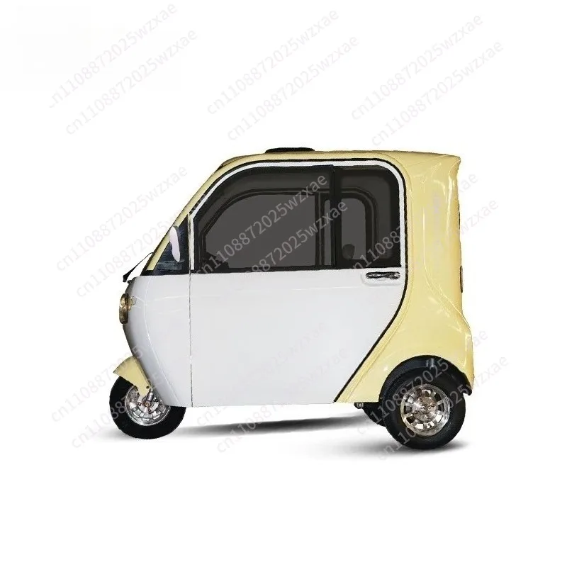 Adult tricycle low speed 45 km/h automatic
