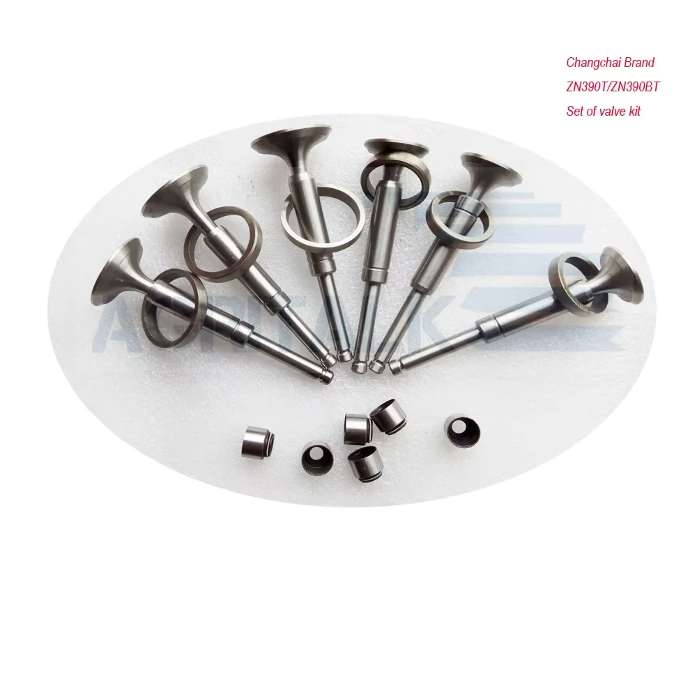 Set of Valve Repair Kit for Changchai Engine ZN390T / ZN490BT / ZN490Q / 4LD35B