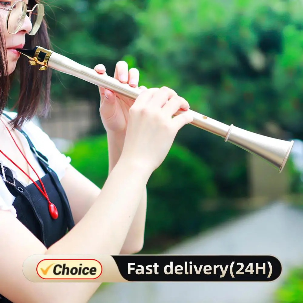 

E Flat Saxophone Woodwind Instrument ABS Resin Portable Pocket Clarionet Easy To Learn Musical Instrument with Storage Bag