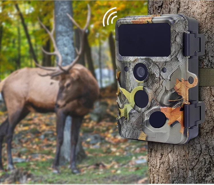 2024 4K 4g  2.4 inch screen mini wildlife trail camera night vision vivid video sd card camera hunting