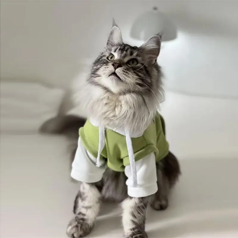 

Maine Coon Special Clothes Thin Anti-Fall Clothes for Tomcats Spring Summer Autumn PU Leather Warm Outdoor Clothes