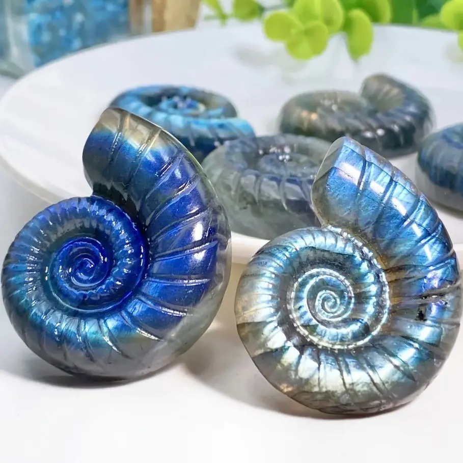 

Natural Labradorite Conch Shell Carving labradorite Snail Crystal Crafts Animal Blue Flash Healing Energy Crystal Shell for Gift