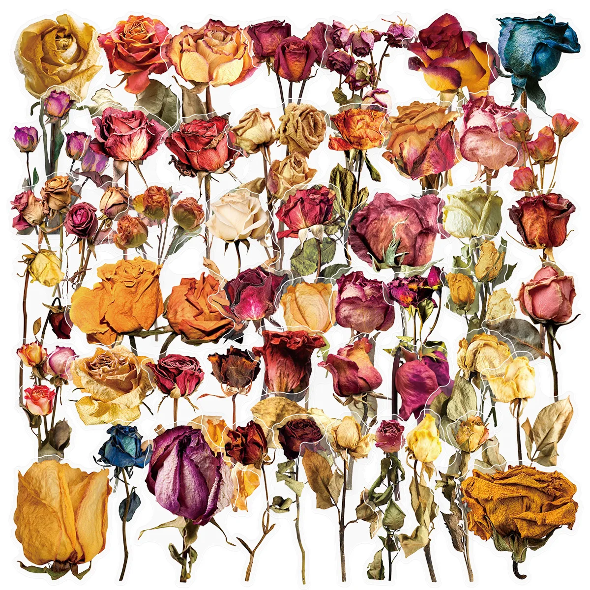 

50PCS Transparent Dry Rose PET Stickers DIY Decoration Mobile Phone Case Notebook Water Cup Graffiti Skateboard Toy Gift Sticker