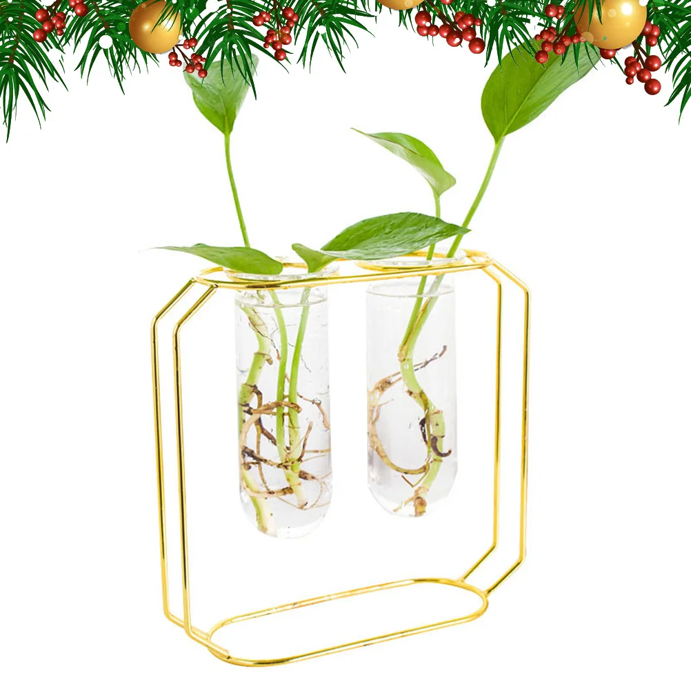 

1Set Water Culture Flower Stand Metal Iron Frame Glass Planter Home Decoration for Flowers Green Plants Iron Flower Planter