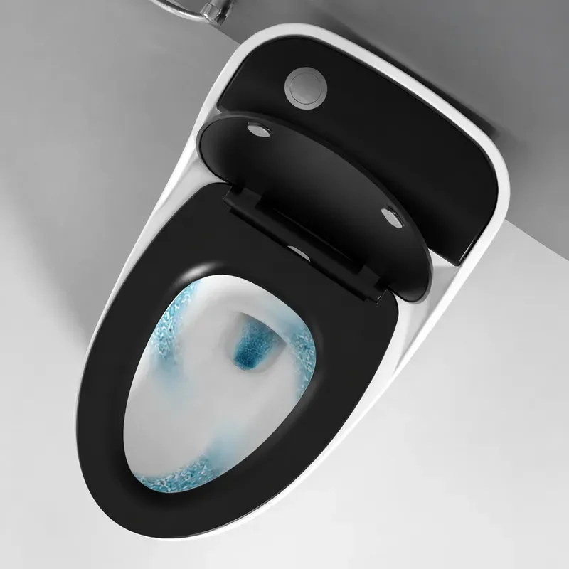 Household Ceramic Toilet Siphon Flush Water Saving Deodorant Small Apartment Enlarged Pipe Conjoined Ordinary WC