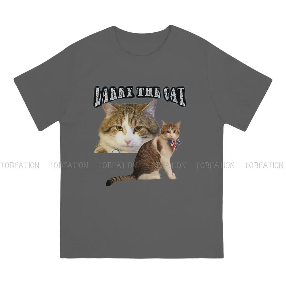 The Cat Rap  Unique TShirt Larry Everybody Loved Them Chief Mousecatcher Top Quality New Design Gift Clothes  T Shirt