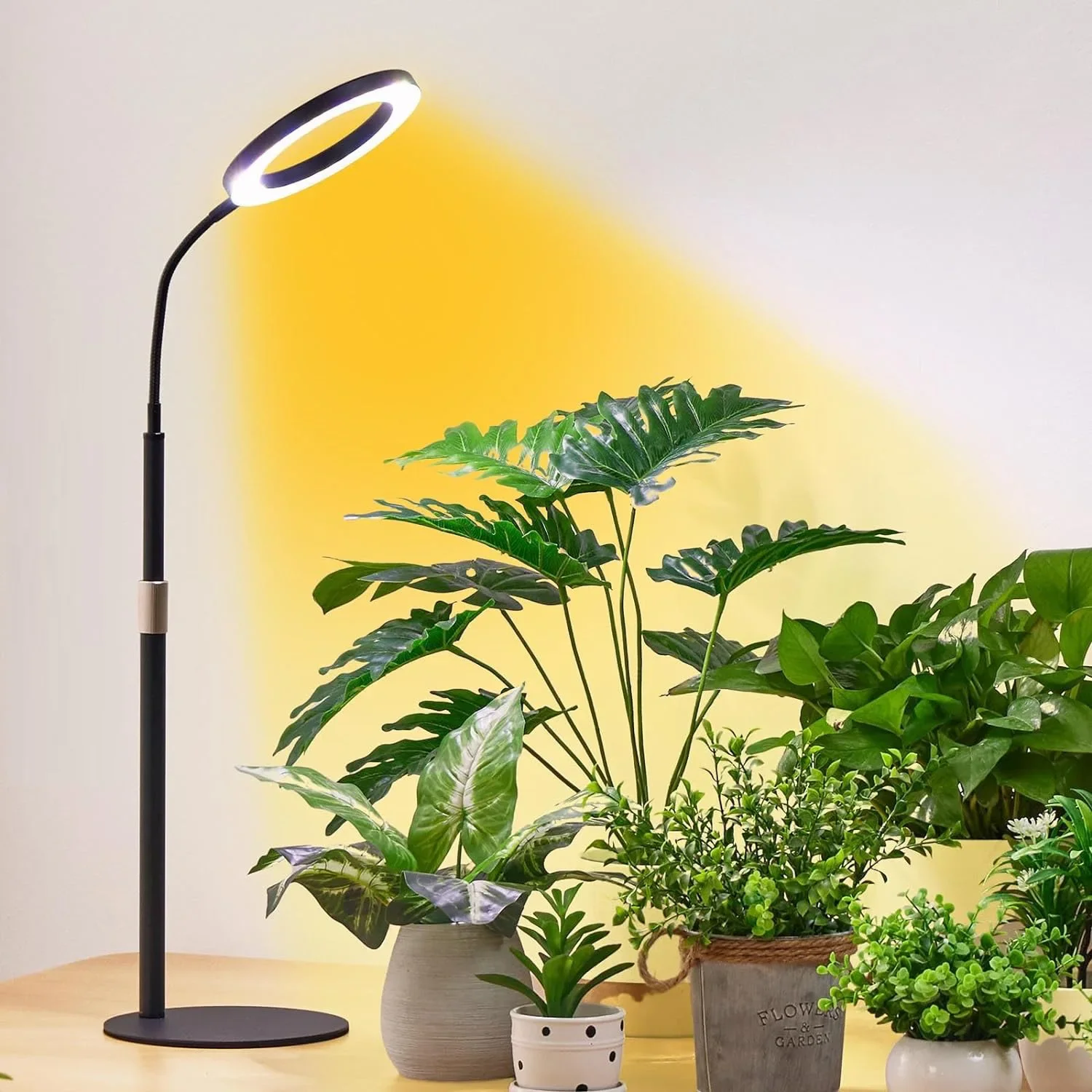 Imagem -03 - Levantamento Anjo Anel Crescimento Planta Luz Usb Micro Paisagem Preenchimento Luz Suculentas Flores e Plantas Plantação Interior 12w