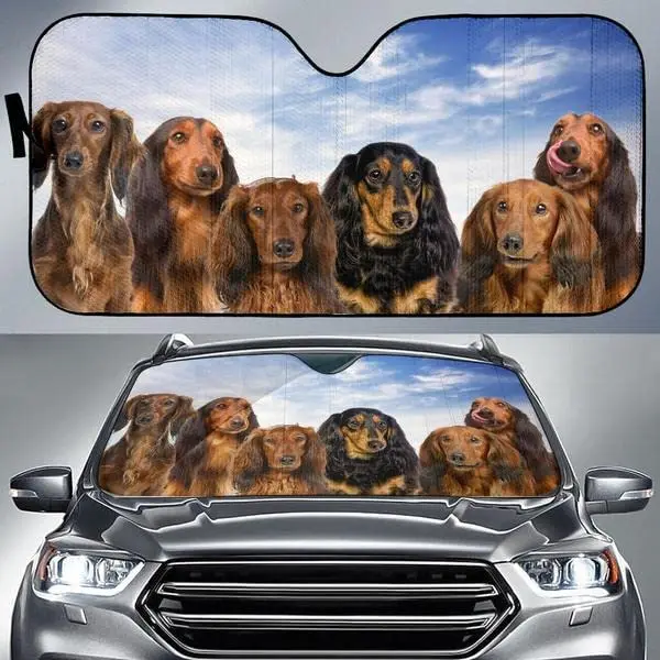 Longhair Dachshund Team Blue Sky Pattern Car Sunshade, Dachshund Auto Sunshade for Car Decor, for Doxie Lover, Car Windshield Au