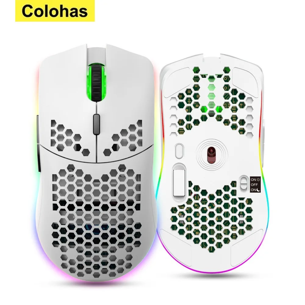 HXSJ T66 RGB 2.4G Wireless Gaming Mouse RGB Lighting Charging Mouse with Adjustable DPI Ergonomic Design for Desktop Laptop