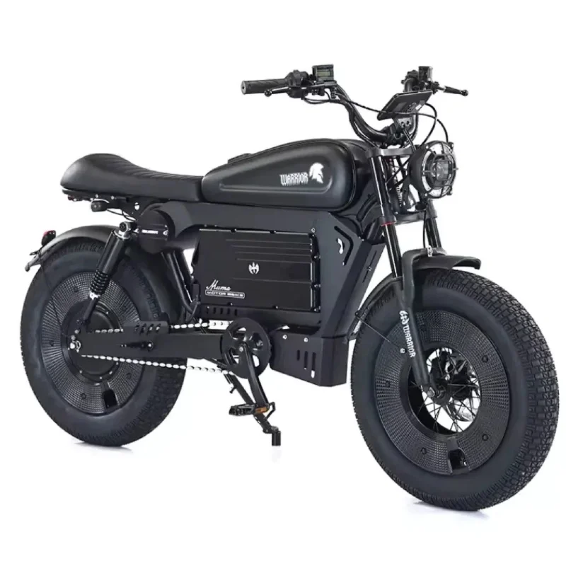 Black Warrior adult electric bike 3000W motor 60V45AH battery 90KM/H electric bicycle 20 inch tire off-road all-terrain e-bike