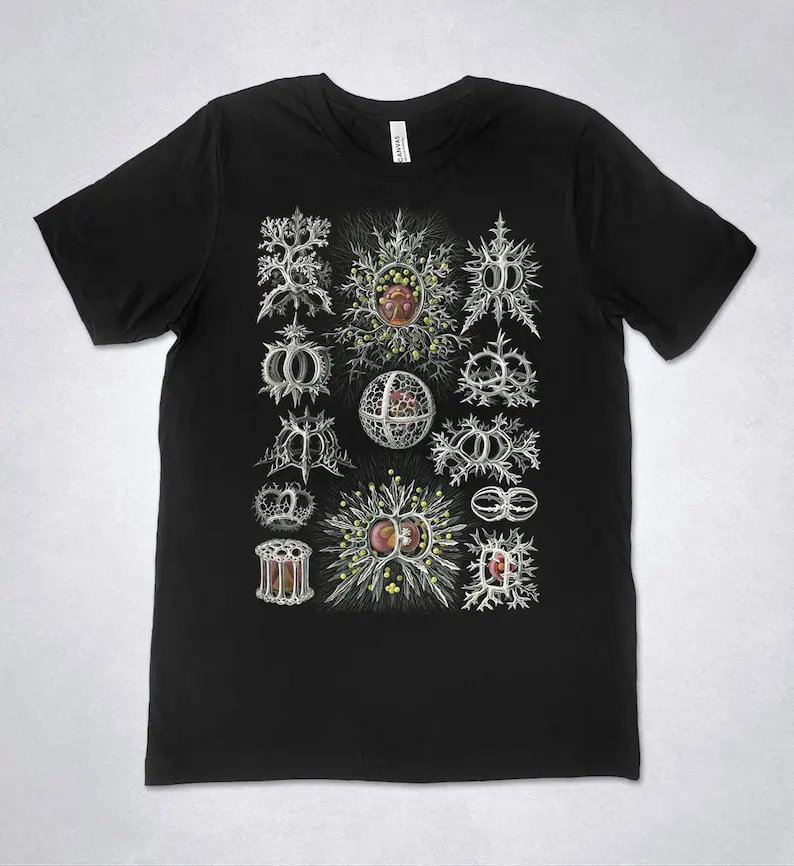 

Ernst Haeckel t-shirt - Stephoidea, Art Forms of Nature - 1904, Haeckel shirt, Haeckel t-shirt, Vintage illustration t-shirt, Ha