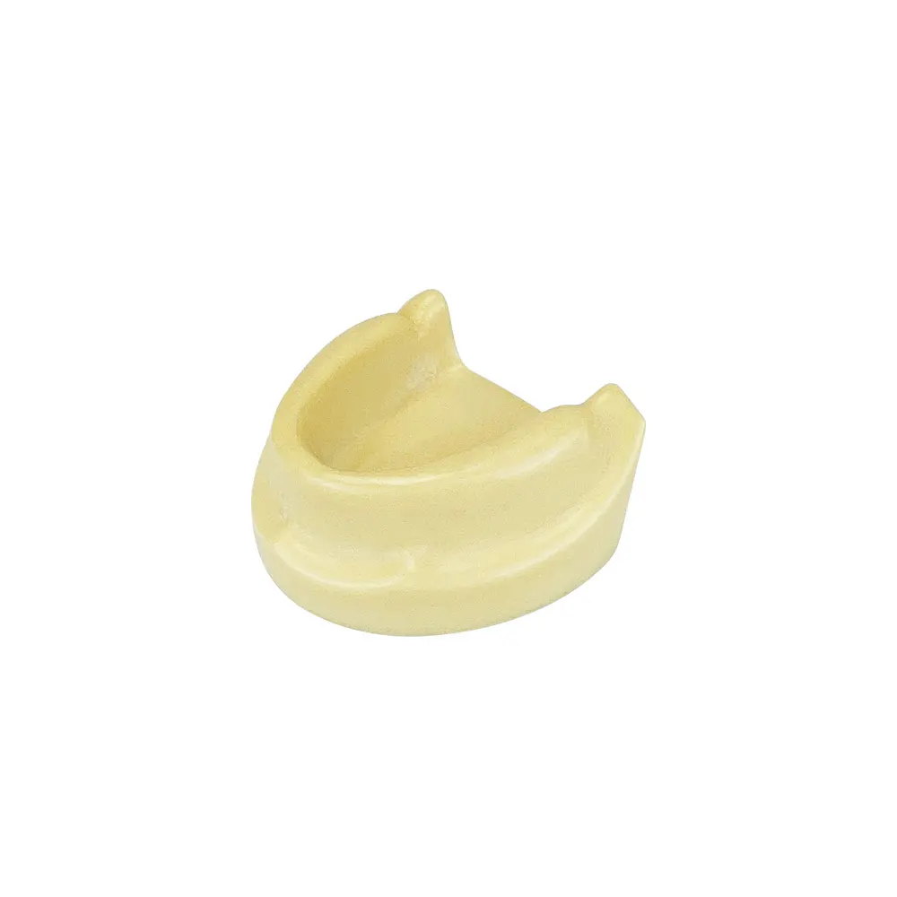 Dental Edentulous Maxilla Implant Practice Model for Dentist Student Studying Teaching Training Demonstration Tool