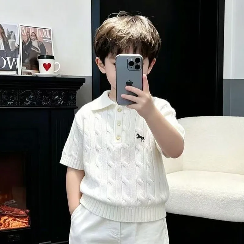 Boys Suit Children's Summer New Style Embroidery Fried Dough Twists Knitted Short Sleeve POLO Shirt Straight Pants Two Piece Set